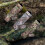 SCHLAFSACKHULLE MODULAR 3 LG LAM OLIVE 4