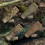 SCHLAFSACKHULLE MODULAR 3 LG LAM OLIVE 5