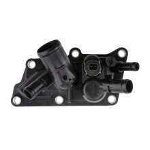 Thermostat 110618961R for