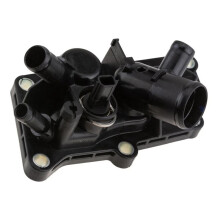 Thermostat 110618961R for