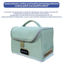 12V Portable Car Cooler Warmer Bag Handheld Car Refrigerator for Camping Travel Car Use (Green)