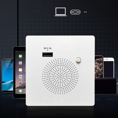Speaker Panel Home USB Charging Panel Audio Wall Mounted USB Flash Drive Playback 2