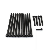 11122212157 Kopboutenset voor X3 X4 X5 528i 328i 320i N20 Motor Cilinderkopboutset Vervanging