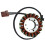 For 75039004000 Motorcycle Stator Coil Generator 5
