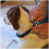 Sullivan Don Perfect Dog Adjustable Command Training Collar Pet Large Obedience 6