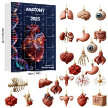 (Anatomy 2)Gorilla Air Force Ballett Weihnachten Adventskalender Blindbox 24 Countdown Day