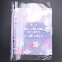 100 Envelope Challenge Binder Easy and Fun Way to Save 5, 050 - Budget Binder with Cash Envelopes