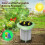 Tuya  Soil Sensor Solar Power Temperature Moisture Soil Qualities Detection for Farm Plants Hygrometer Garden Tools 7