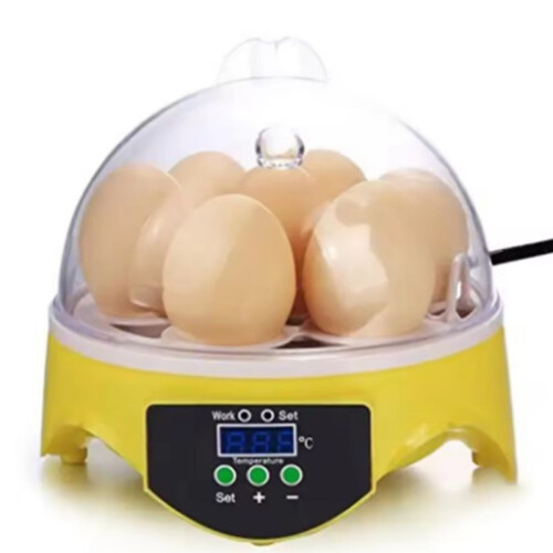 Egg Incubator Poultry Incubator Brooder Digital Temperature Hatchery Egg Hatcher Chicken Duck Bird  US Plug 2