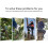 Adjustable Tree Climbing Spikes for and Observation, Fruit Picking 3