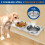 Alimentatore da parete per cani da 0,8 L - Supporto trasparente 8
