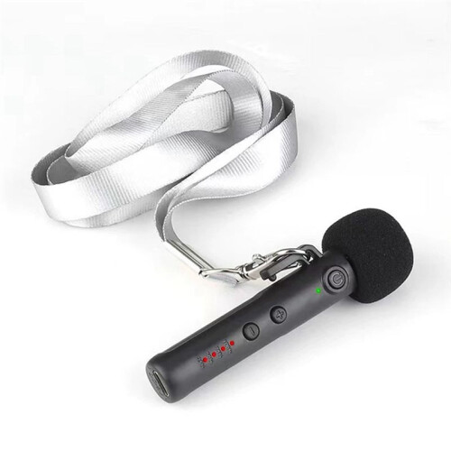 Wireless Microphone with 6.5mm Converter Adapter Neck-Hanging Teaching Microphone Outdoor Live Broadcast Microphone 2