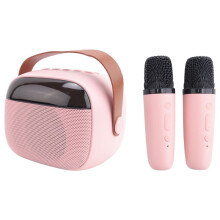 Karaoke per Bambini, Altoparlante Portatile con 2 Microfoni Wireless Rosa