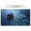 For  X5 Invisible Dive Case 50m Waterproof Highly Transparent Protective Case for Underwater Photography 4
