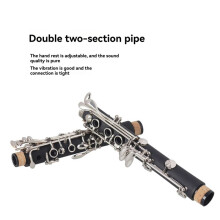 SLADE Bb Clarinet 17 Keys Bakelite Wooden Instrument Tenor Clarinet with Case, Reeds & Accessories
