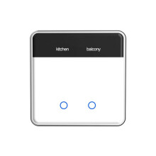 Tuya Zigbee DIY Name 2 Gang Touchscreen Light EU Type Works with Alexa Home Voice Control