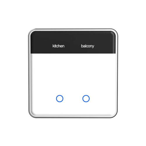 Tuya Zigbee DIY Name  2 Gang  Touchscreen Light  EU Type Works with Alexa  Home Voice Control