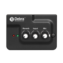 DEBRA PROFESSIONAL AUDIO Live Broadcast Sound Card Echo Audio Mixer Interface External with for Microphone Musical