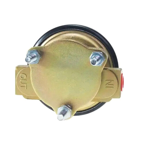 Electrical Fuel Pump Module Unit 12V SP1333 P60911 4020275 2