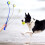 Hand Dog Ball Launcher with Ergonomic Handle, Blue, ABS Material 3