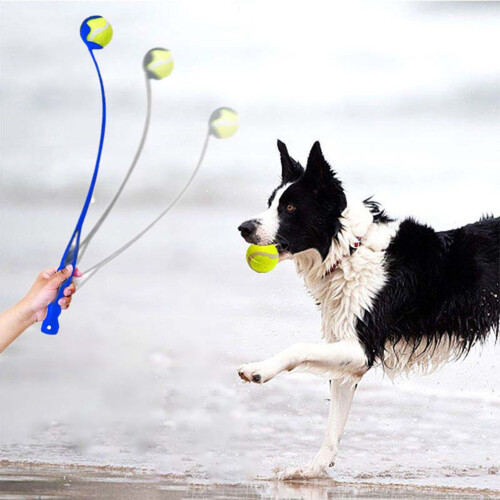 Hand Dog Ball Launcher with Ergonomic Handle, Blue, ABS Material 2