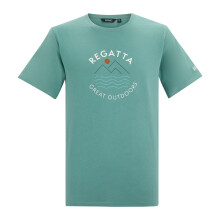 (S, Arctic Green) Regatta Mens Cline IX Wavy Lines T-Shirt