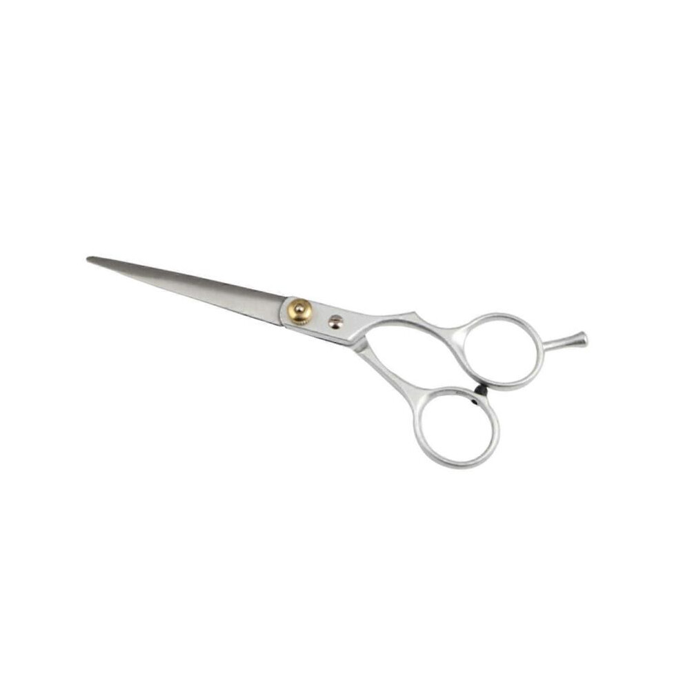 6.5Inch Stainless Steel Hair Cutting Scissors Professional Barber Shears for Salon and Home