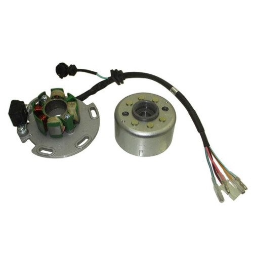 Volano Rotore Magnete Statore  150cc per Motore per Daytona 150 190 1