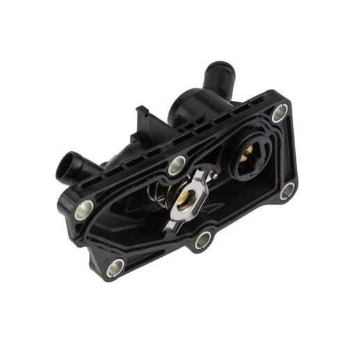 Thermostat 110618961R pour 1