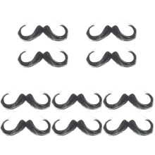 10Pièces Barbe Pour Soirée
