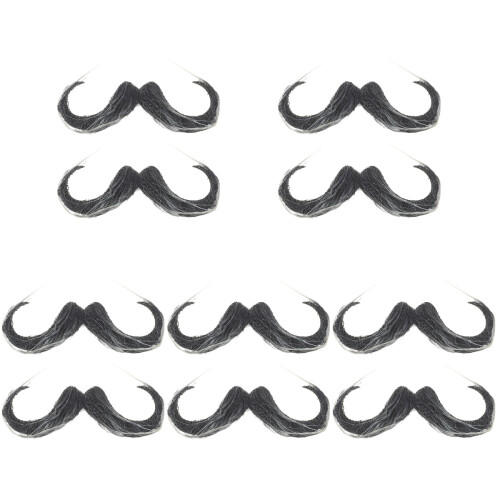 10Pièces Barbe Pour Soirée