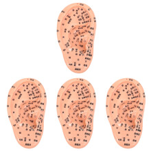 4Pcs Practical Ear Acupuncture Model for Home Massage and