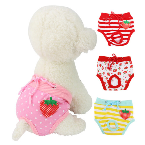 2Pièces Shorts Physiologiques Pour Rose Lavable 1