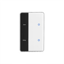 Matter WIFI DIY Name  2 Gang  Touchscreen  US Type Work with Tuya Alexa  Home Voice Control