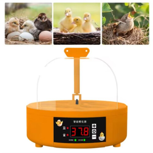 Fully Automatic Poultry Egg Incubator Intelligent Quiet Farm Hatchery Machine Thermostatic Eggs Hatchery Incubator (US) 1