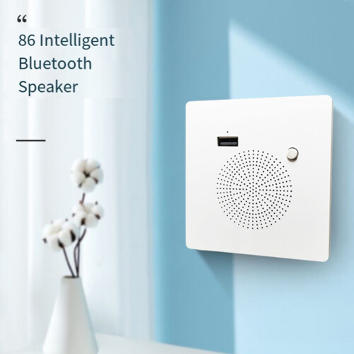 Speaker Panel Home USB Charging Panel Audio Wall Mounted USB Flash Drive Playback
