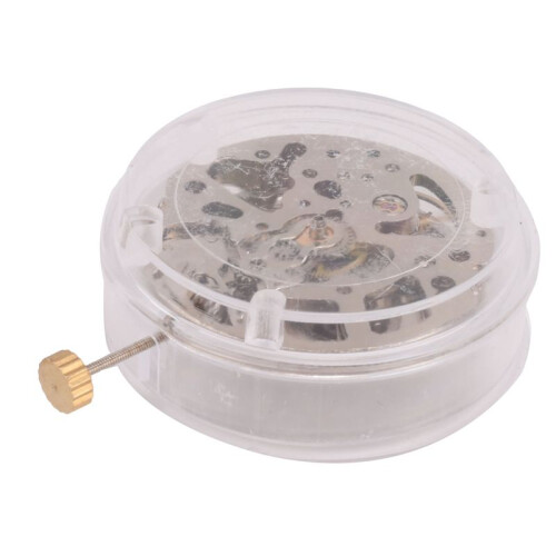 Radiation- Pendulum Mouvement Squelette Pendule RéGlage Radial Pattern Automatic Watch Movement 2001 1