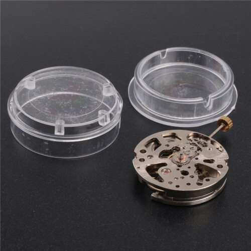 Radiation- Pendulum Mouvement Squelette Pendule RéGlage Radial Pattern Automatic Watch Movement 2001