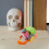 3St Plastic Schedelmodel Met Kleuren Leerhulpmiddelen 10