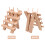 2Pcs Wooden Thread Holder 12-Spool Folding Rack Beige Sewing Organizer 9