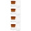 4Pcs Nail Dust Brush with Soft Bristles Assorted Colors for Home Use 1