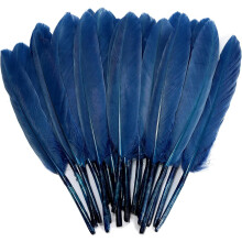 Penas de ganso azul marinho, naturais, 10-15 cm (4-6 polegadas), 120 peças