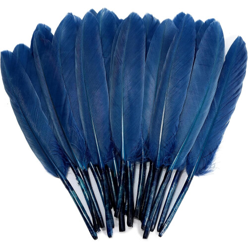 Penas de ganso azul marinho, naturais, 10-15 cm (4-6 polegadas), 120 peças