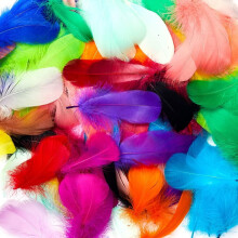 800pcs Colorful Craft Feathers (20 Colors, 3-5"), Assorted Rainbow Feathers for Kids, DIY, Wedding Decor – Compatible with Crafts