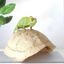 (As show, One size) Turtle Shell Shelter for Reptiles Terrarium with Hide and Seek Caves Resin Climbing Platform,2024 Ping
