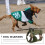 4Pcs Comfortable Green Adjustable Dog Harness Vest for Pets 9