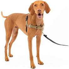 Easy Walk No-Pull Hundegeschirr für mittelgroße Hunde