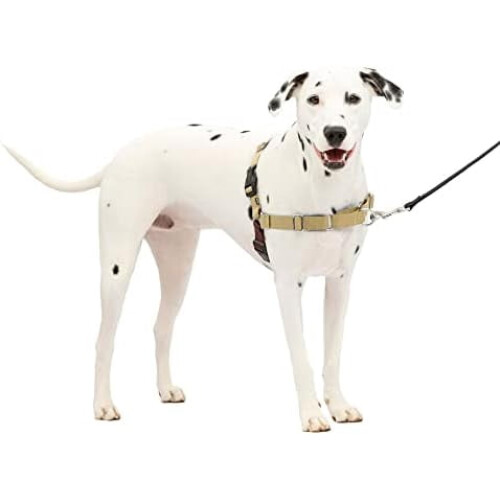 Arnés para perros Easy Walk – Martingale antitirones, clip frontal,