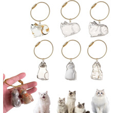 6Pcs Cat Fur Memory Charm Pendant & Keychain Set – Pet Hair Keepsake Capsule, Compatible with 2026 New Cats Hair Memorial