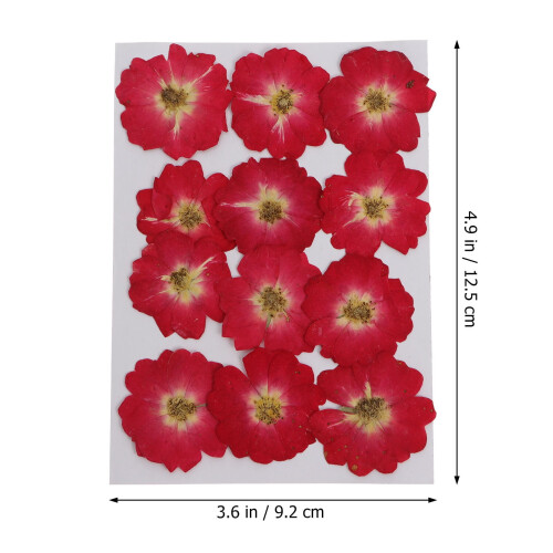 Rosas prensadas e secas para artesanato – 12 unidades 1
